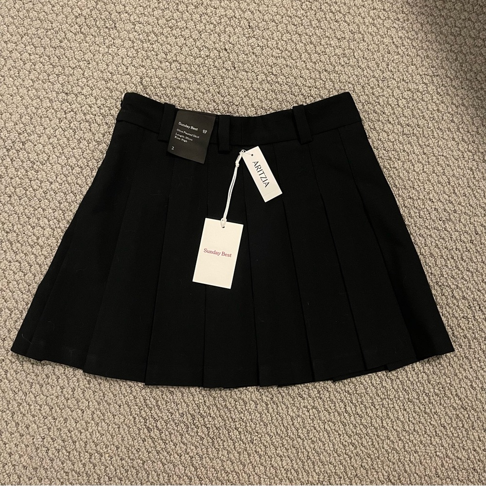Aritzia Sunday Best Micro Skirt